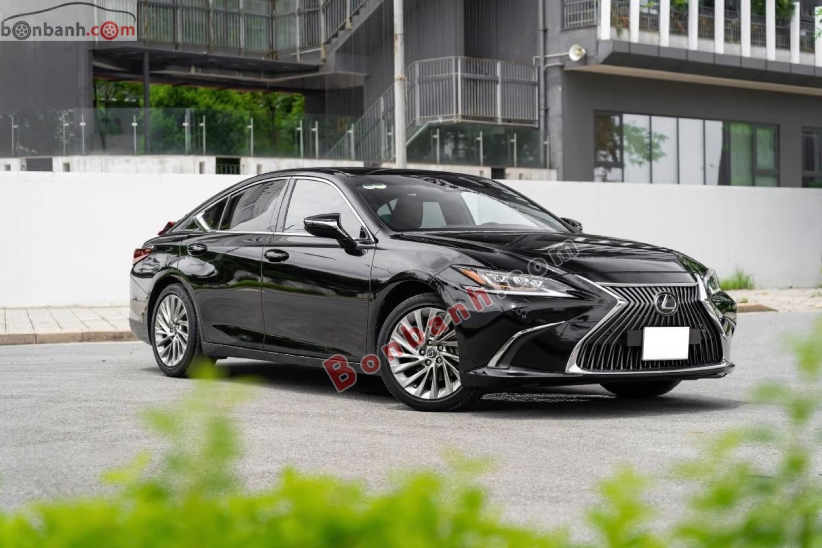 2020 Lexus ES 250 - ảnh nhỏ 2