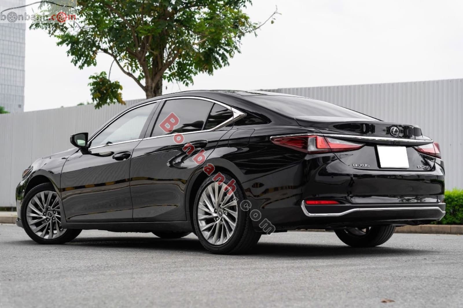 2020 Lexus ES 250 - ảnh nhỏ 5