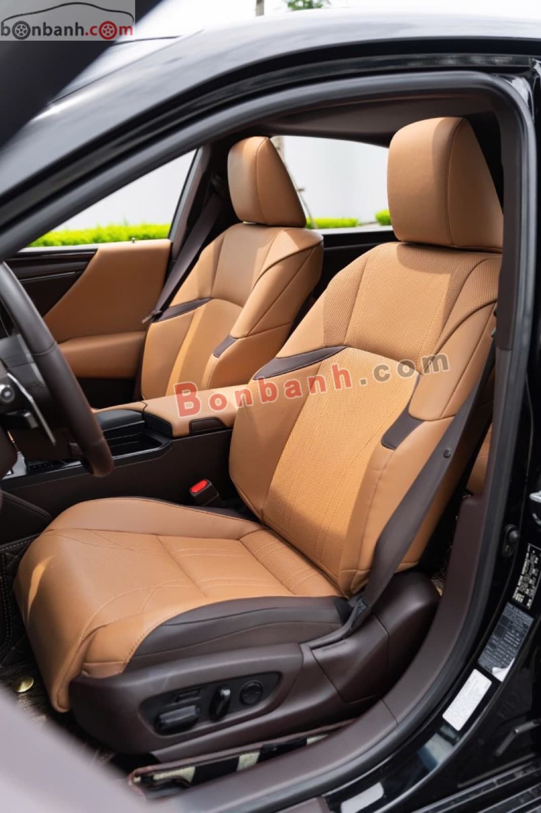 2020 Lexus ES 250 - ảnh nhỏ 6