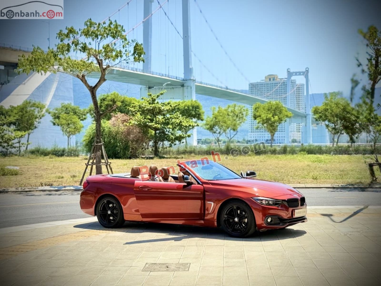 2019 BMW 4 Series 420i Convertible