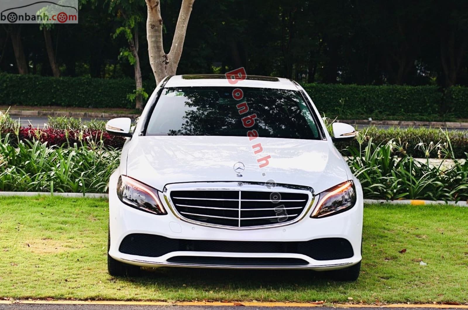 2019 Mercedes-Benz C class C200 Exclusive - Image 1
