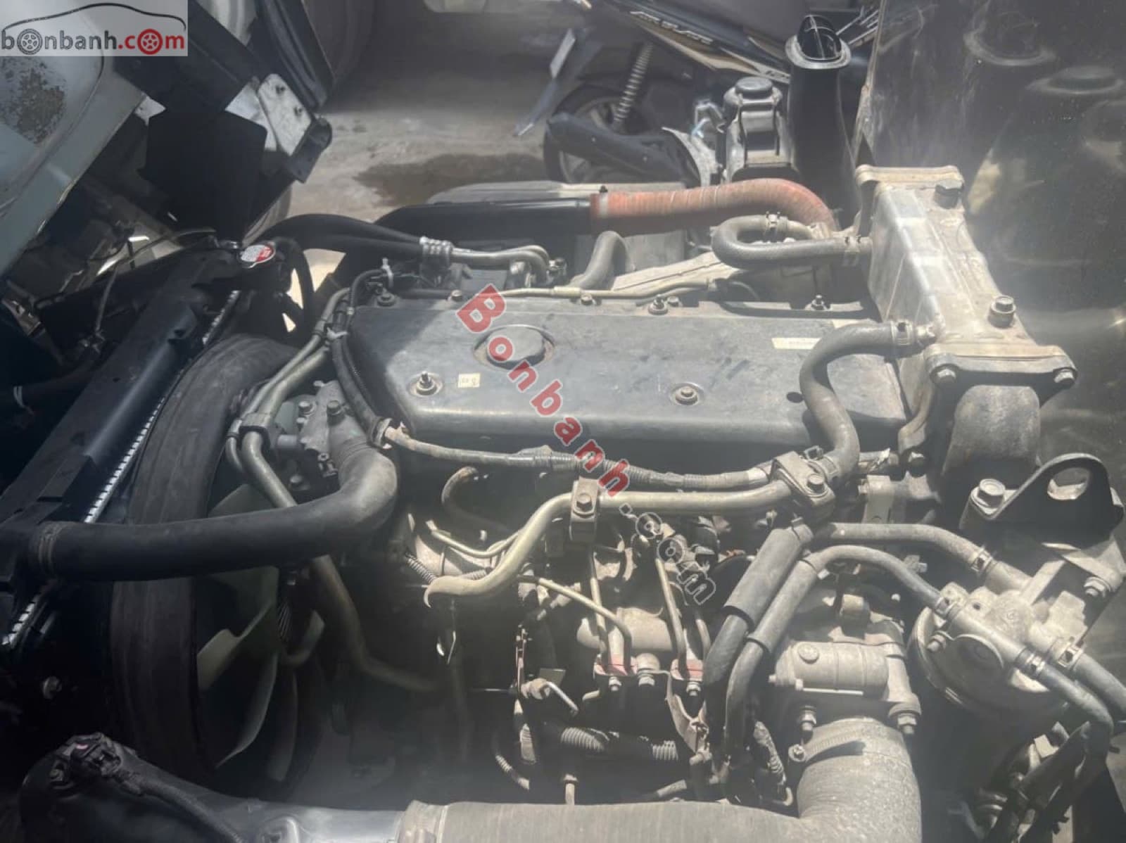 2021 Isuzu NQR 550 - ảnh nhỏ 7