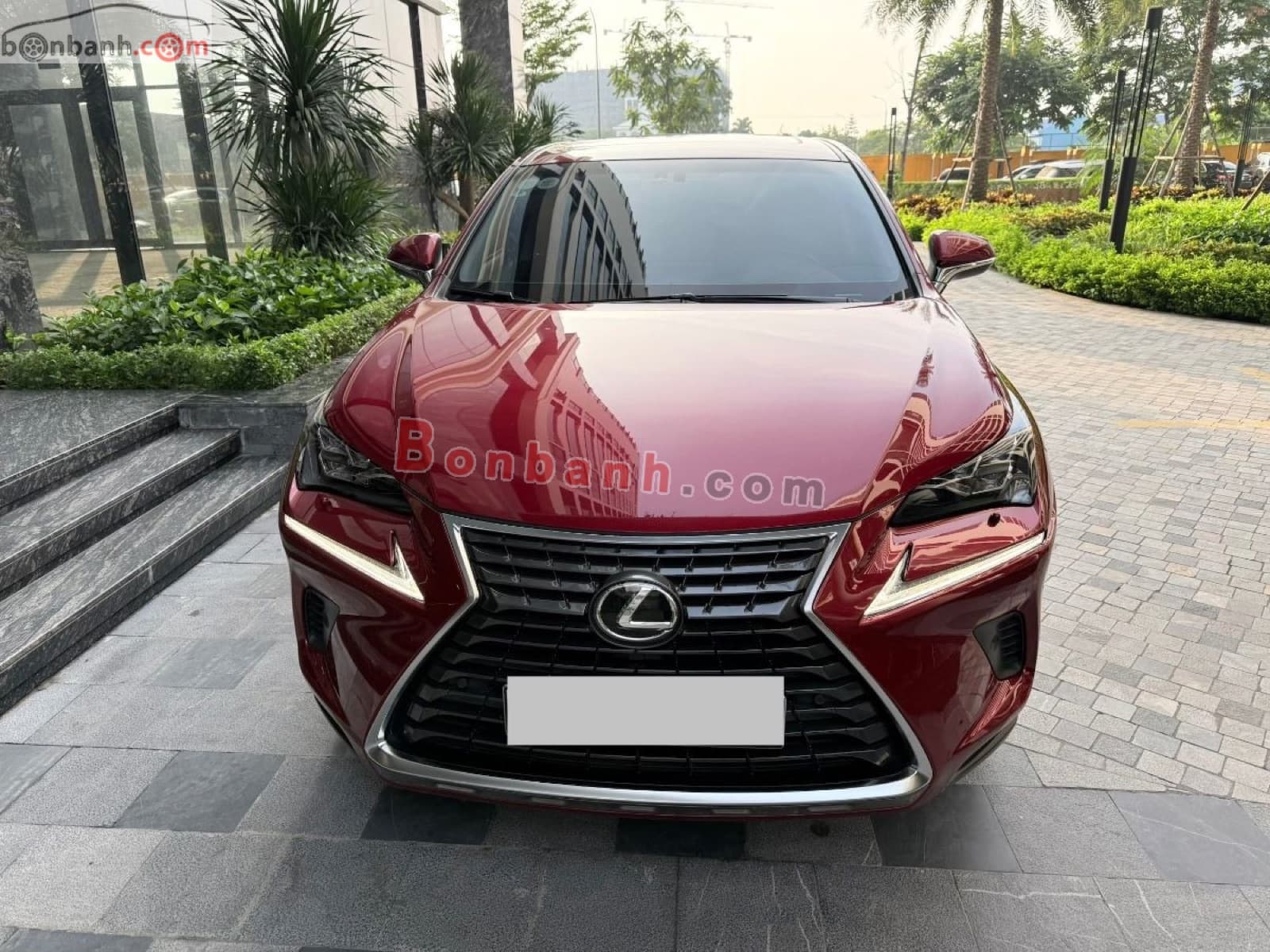 2019 Lexus NX 300