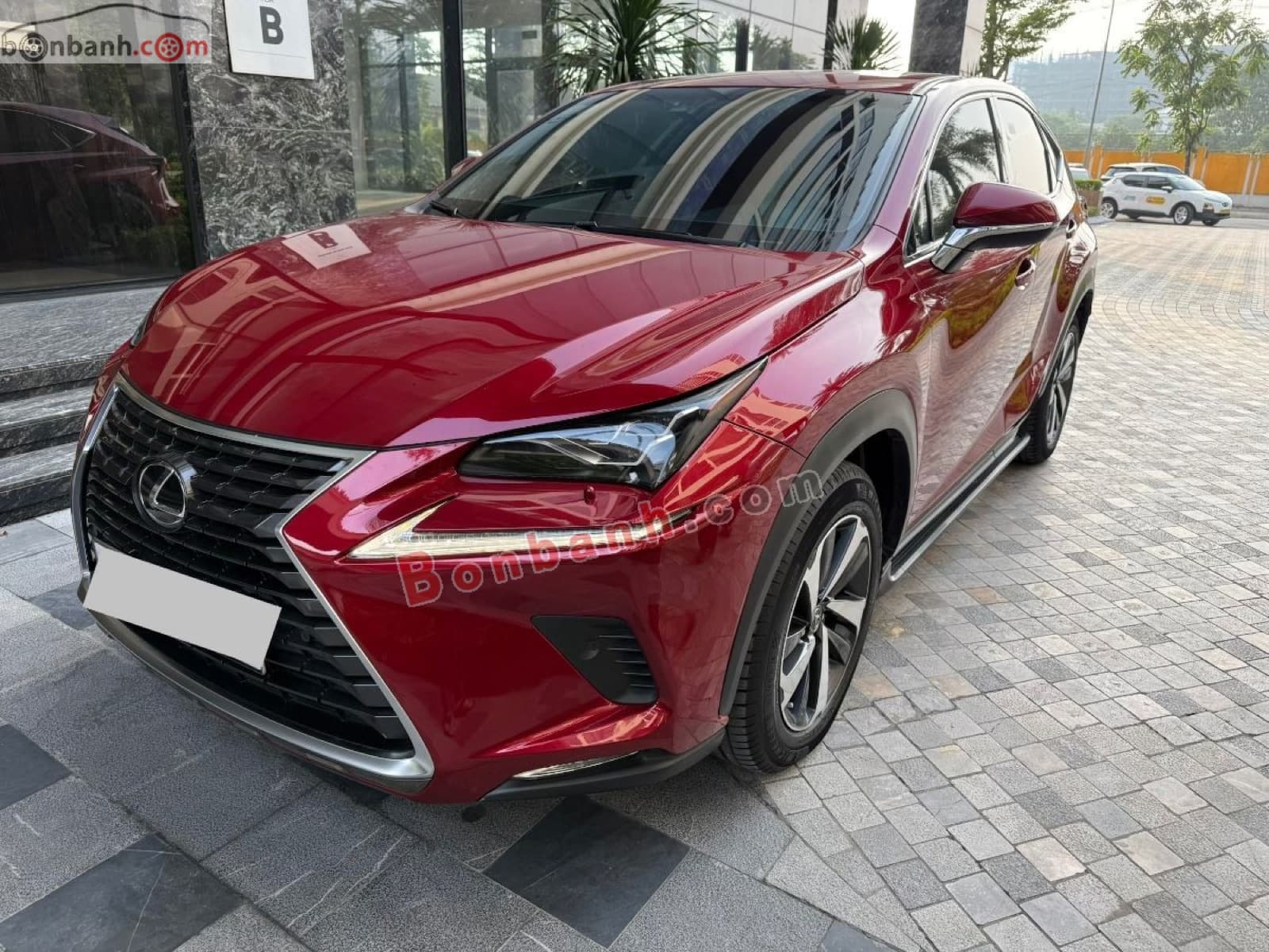 2019 Lexus NX 300 - ảnh nhỏ 2