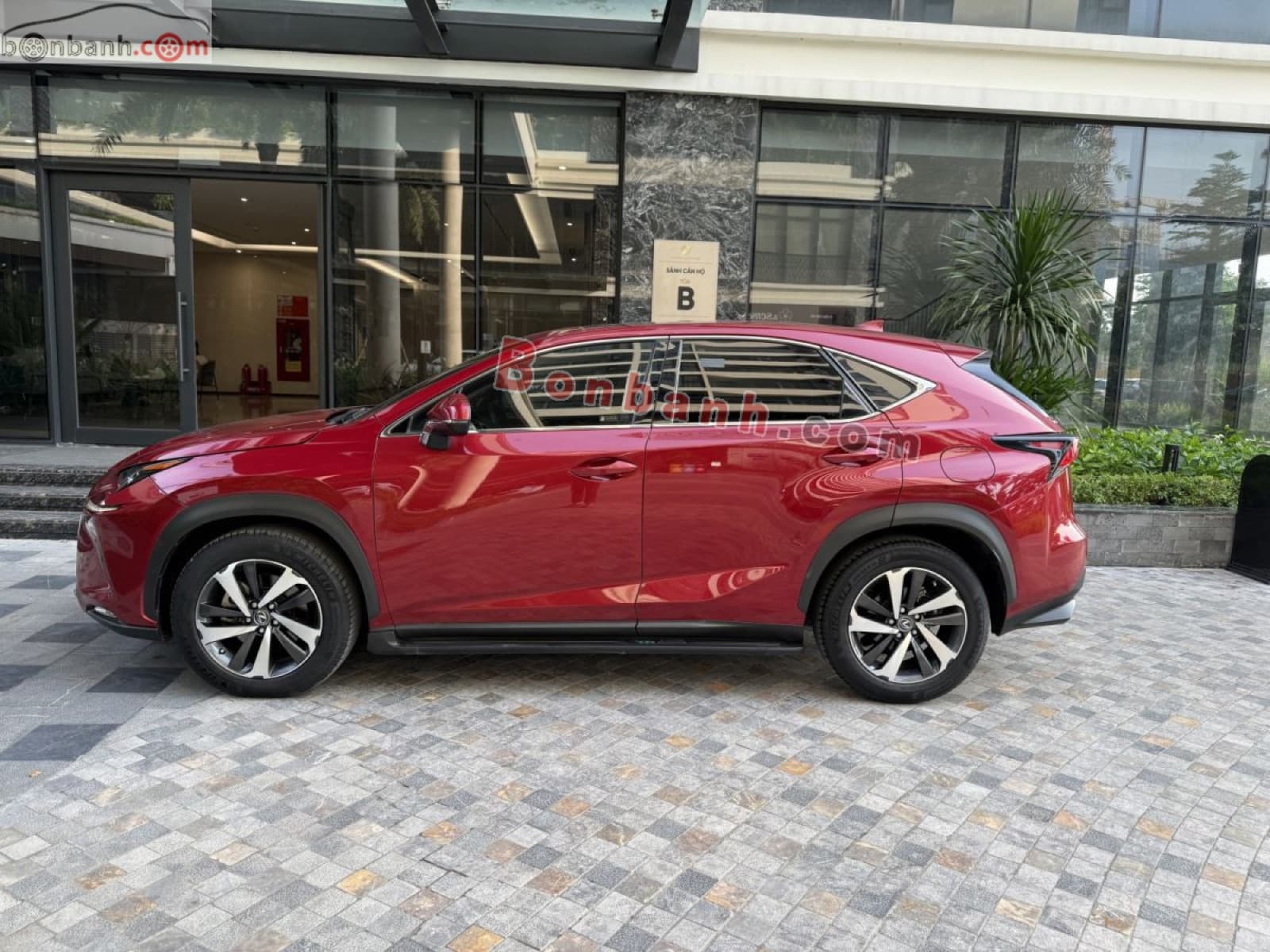 2019 Lexus NX 300 - ảnh nhỏ 3