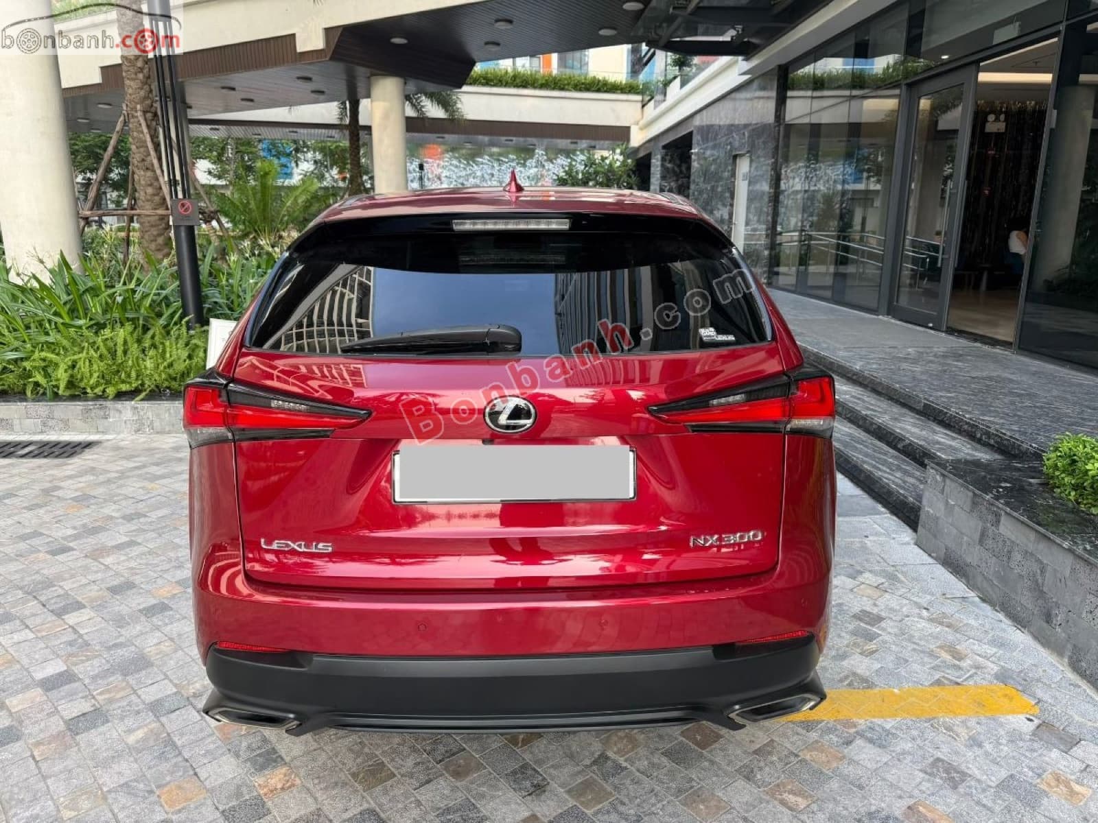 2019 Lexus NX 300 - ảnh nhỏ 4