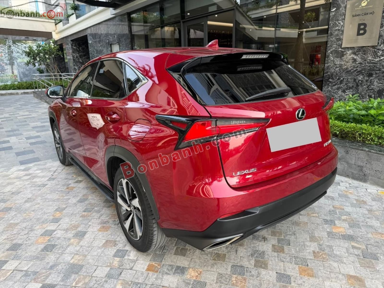 2019 Lexus NX 300 - ảnh nhỏ 5