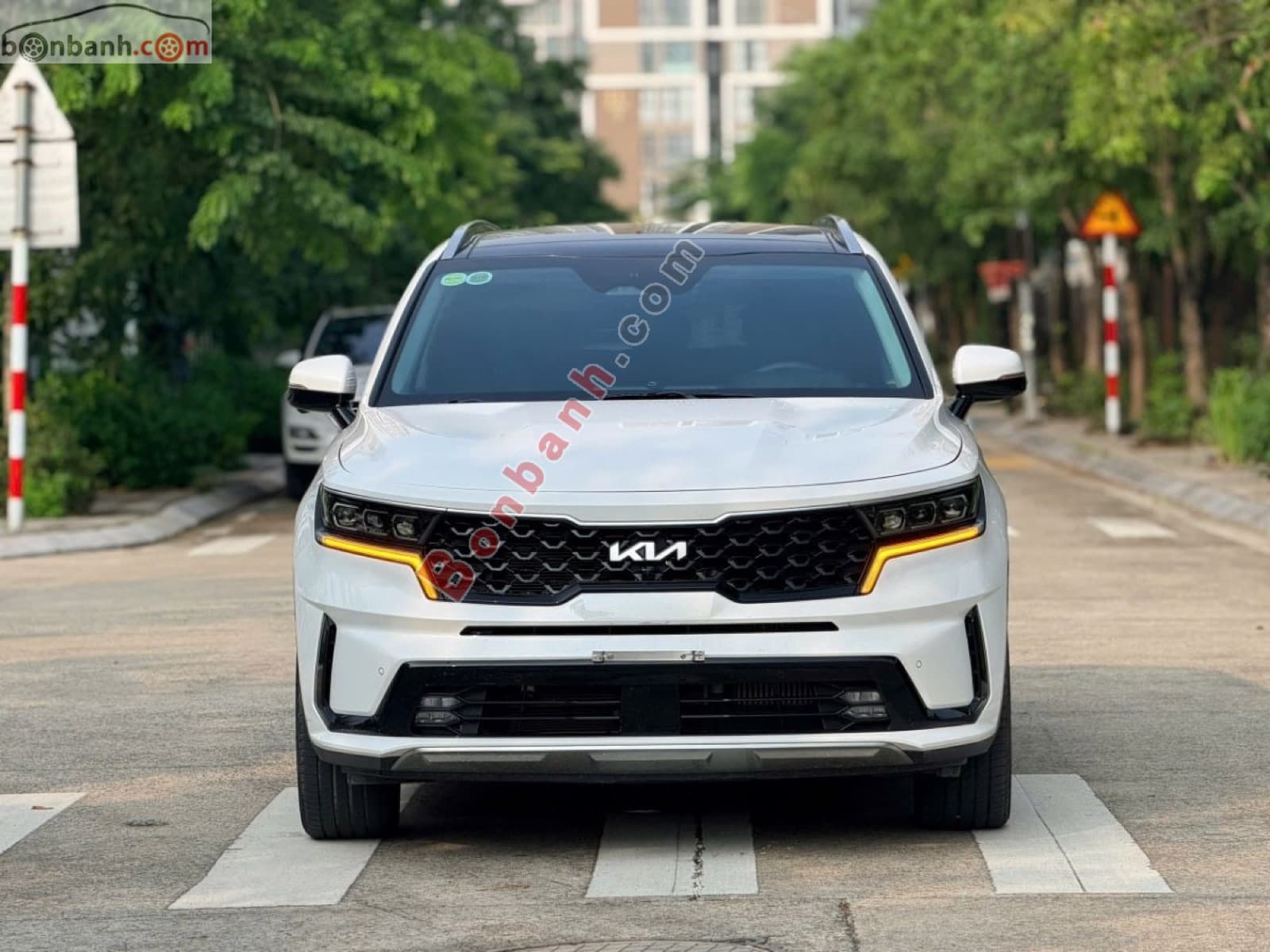 2025 Kia Sorento Signature 2.2D AT AWD - ảnh nhỏ 2
