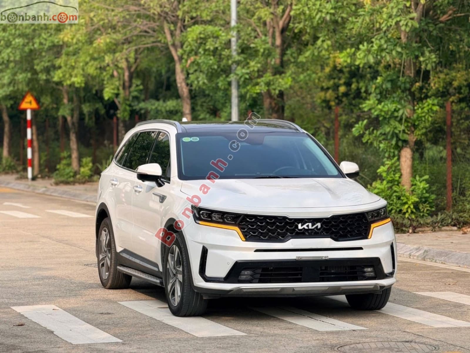 2025 Kia Sorento Signature 2.2D AT AWD - ảnh nhỏ 3