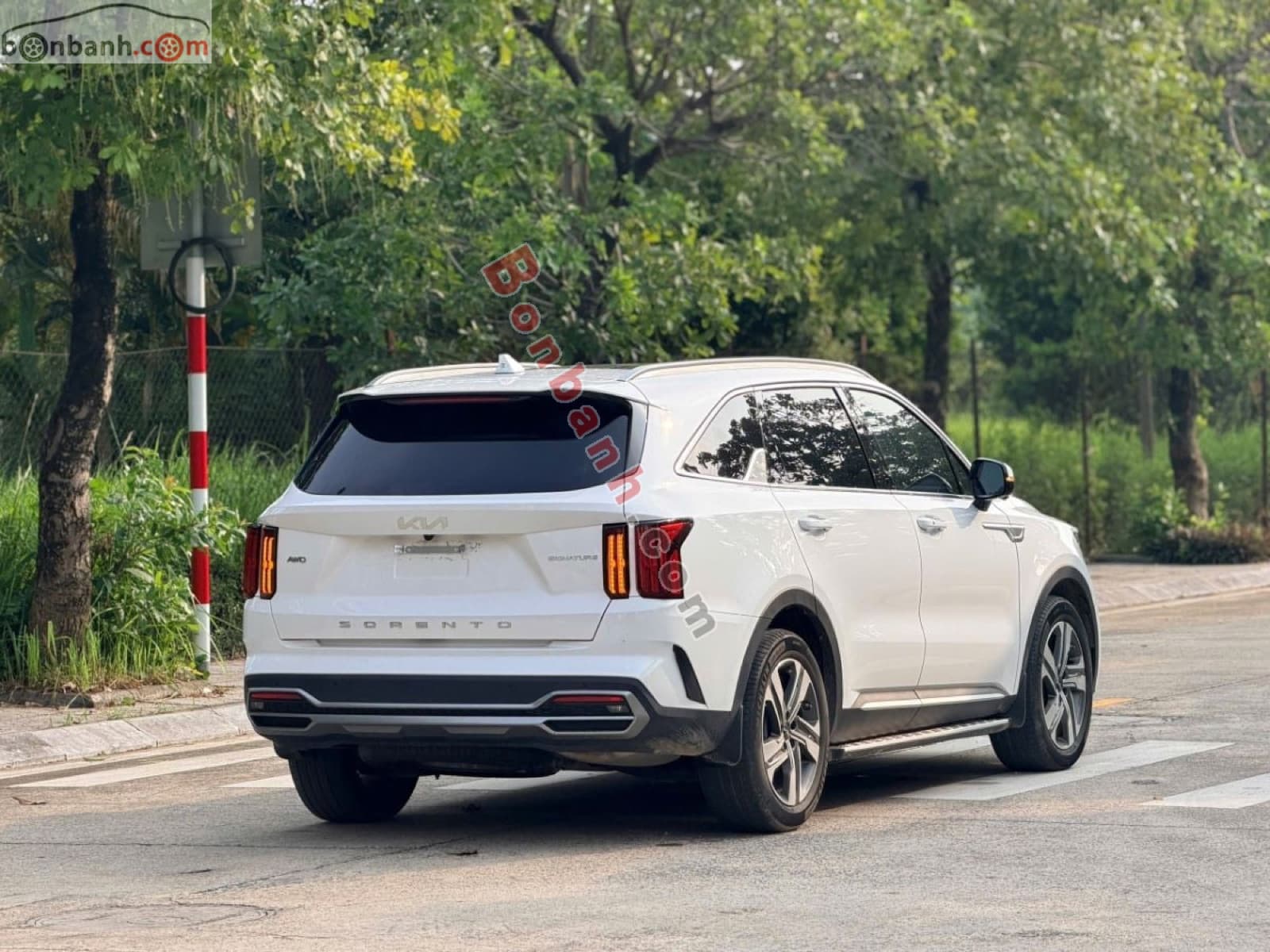 2025 Kia Sorento Signature 2.2D AT AWD - ảnh nhỏ 4