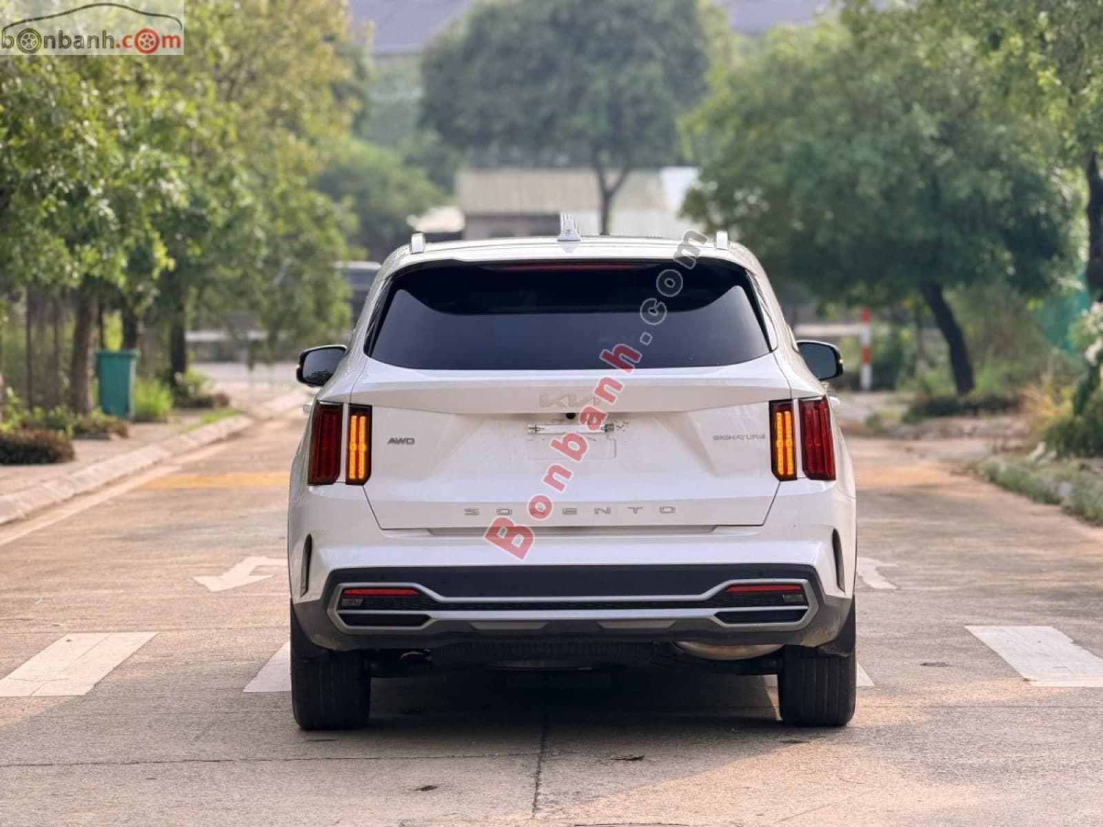 2025 Kia Sorento Signature 2.2D AT AWD - ảnh nhỏ 5