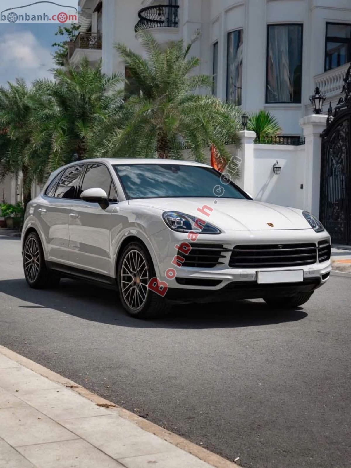 2022 Porsche Cayenne Platinum Edition - ảnh nhỏ 2