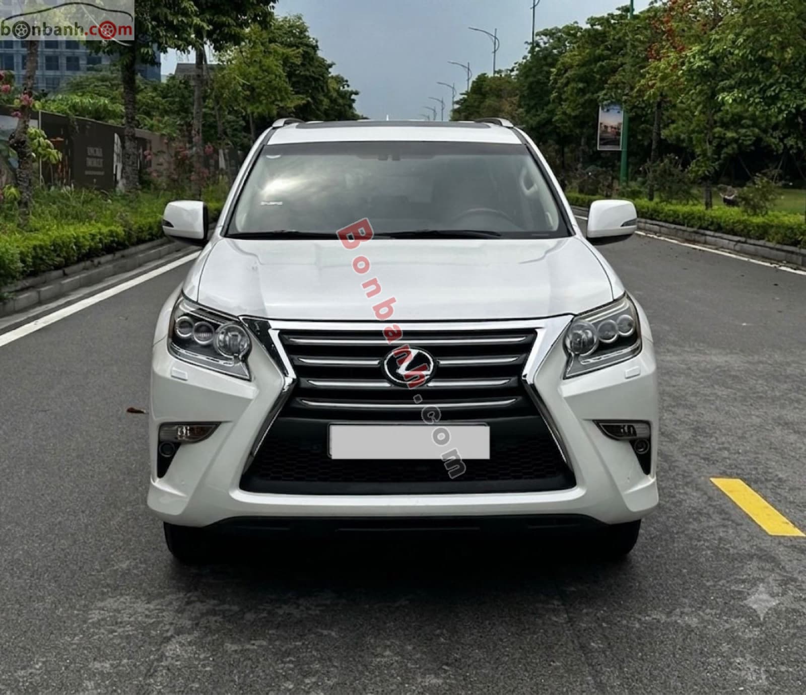 2015 Lexus GX 460