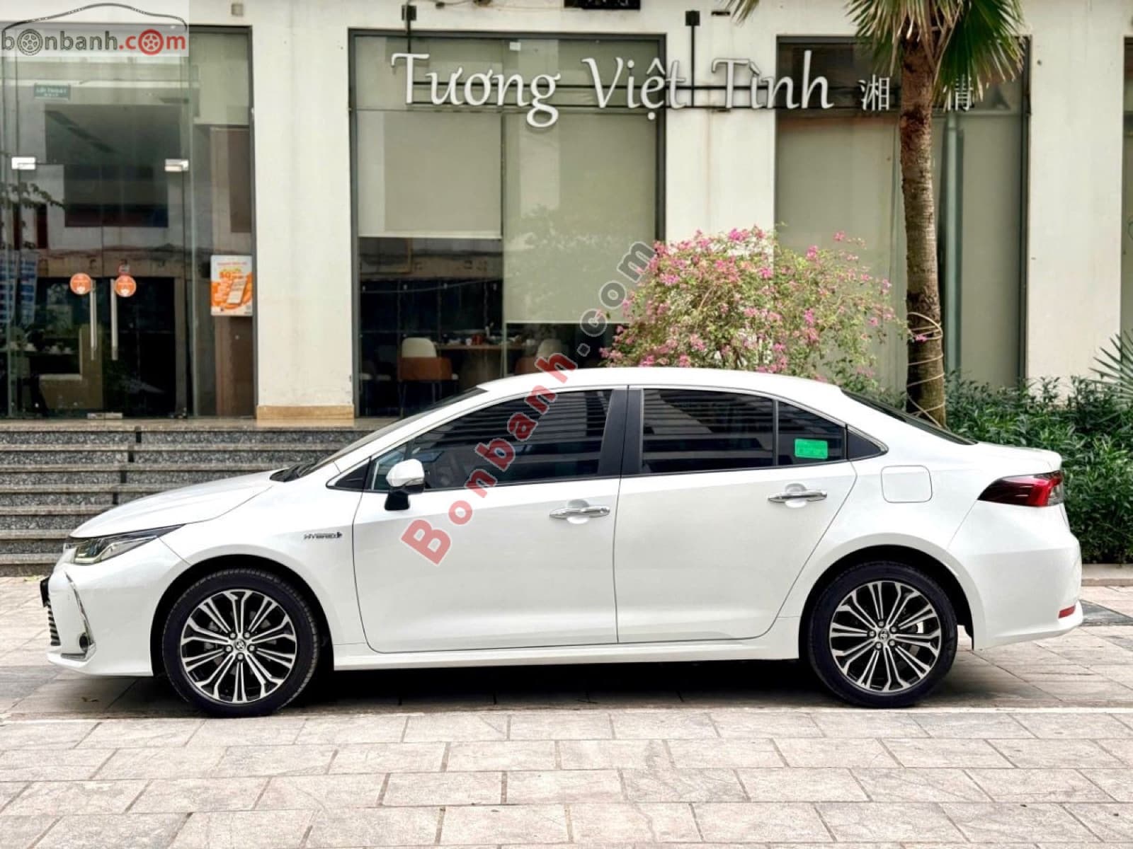2022 Toyota Corolla altis 1.8HEV - ảnh nhỏ 3
