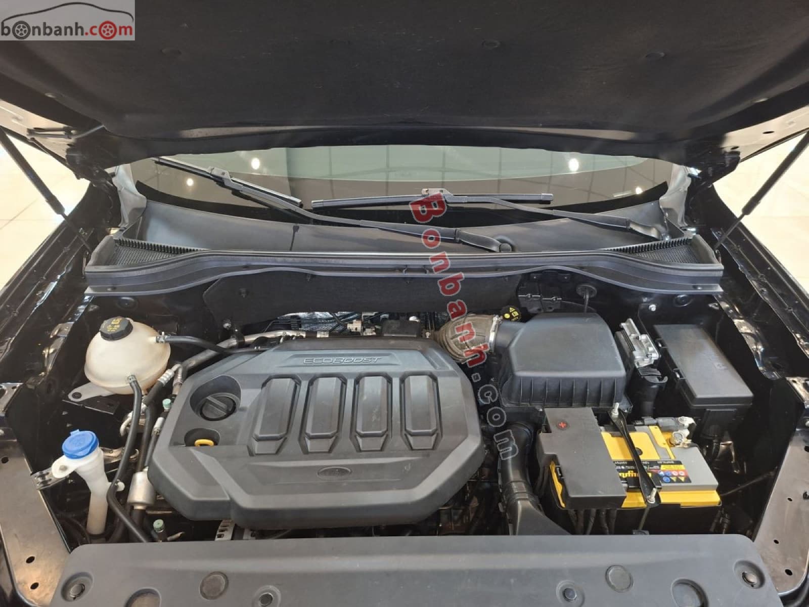 2022 Ford Territory Titanium 1.5 AT - ảnh nhỏ 2