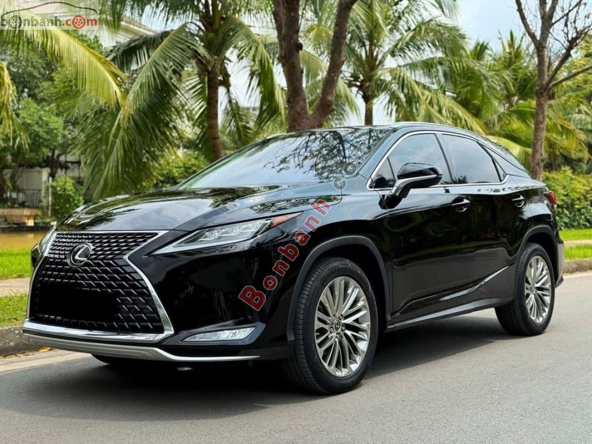 2021 Lexus RX 300