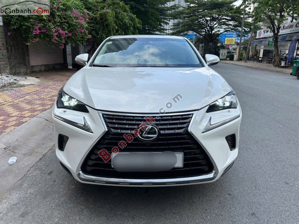 2017 Lexus NX 300