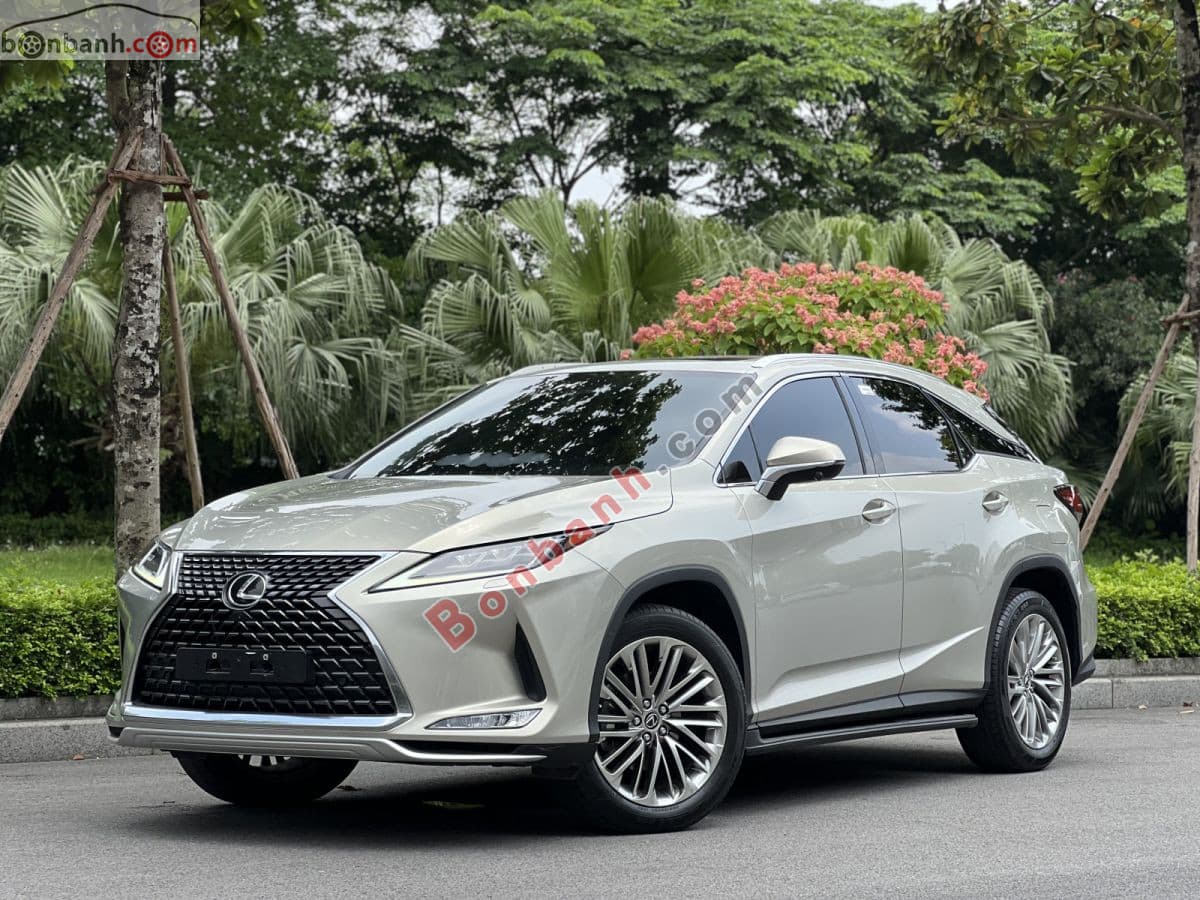 2021 Lexus RX 300