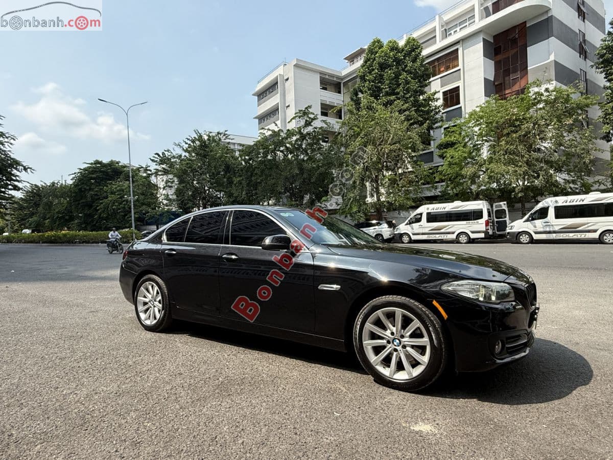 2015 BMW 5 Series 520i