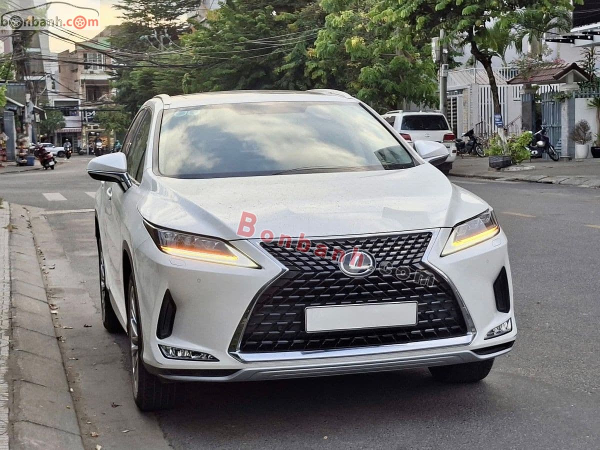 2021 Lexus RX 300