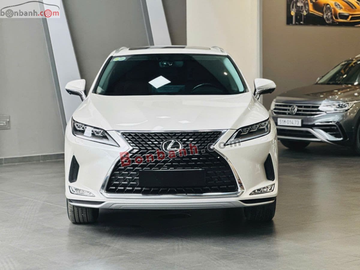 2020 Lexus RX 300