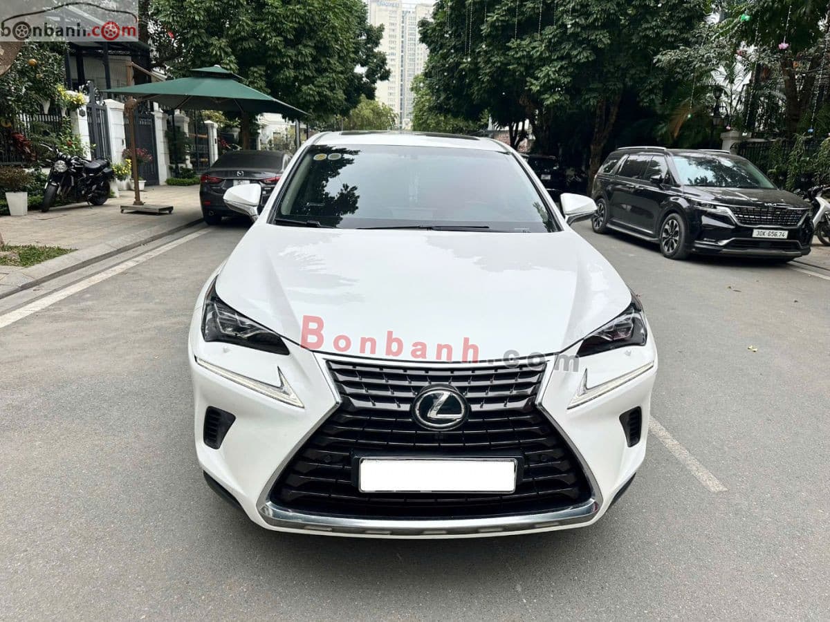 2018 Lexus NX 300