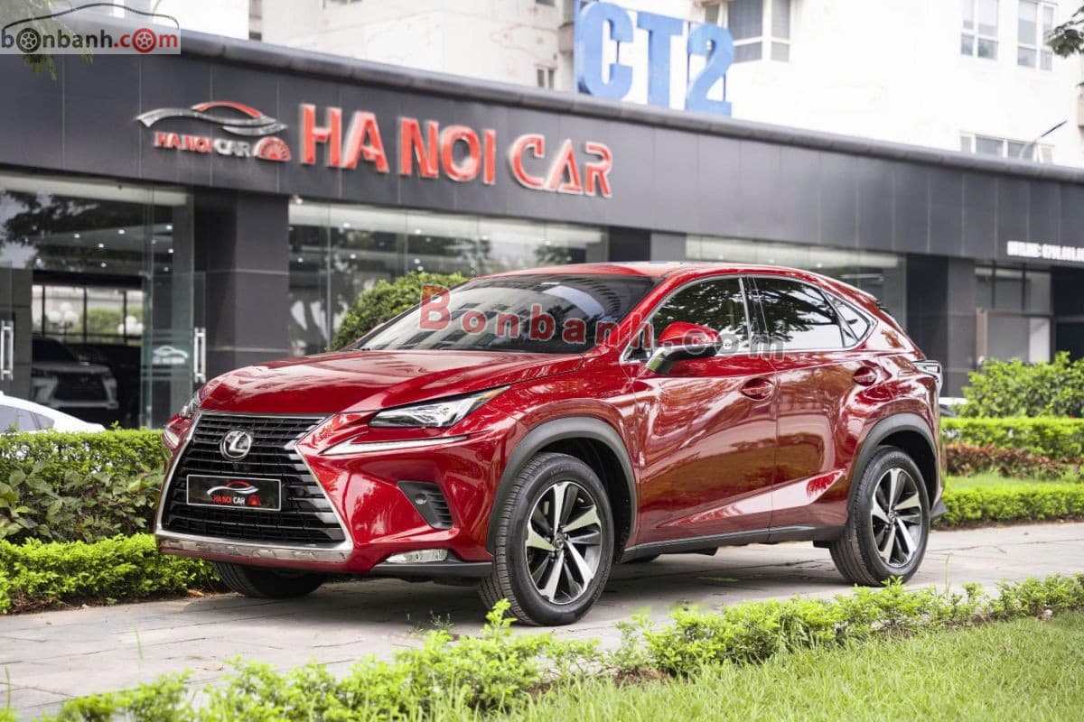 2019 Lexus NX 300
