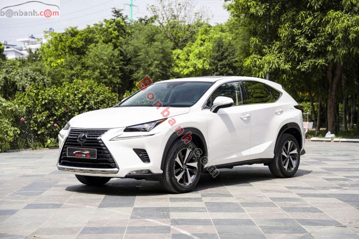2021 Lexus NX 300