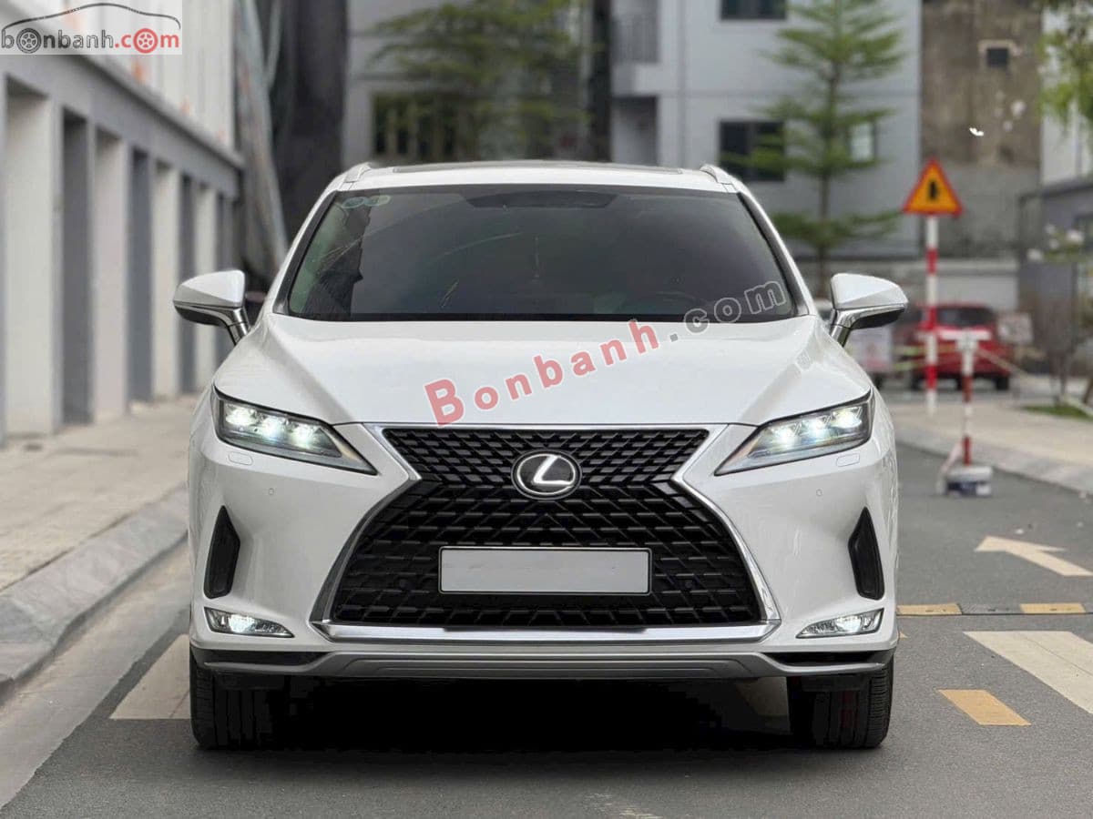 2021 Lexus RX 300