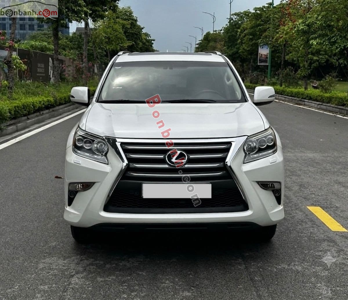 2015 Lexus GX 460