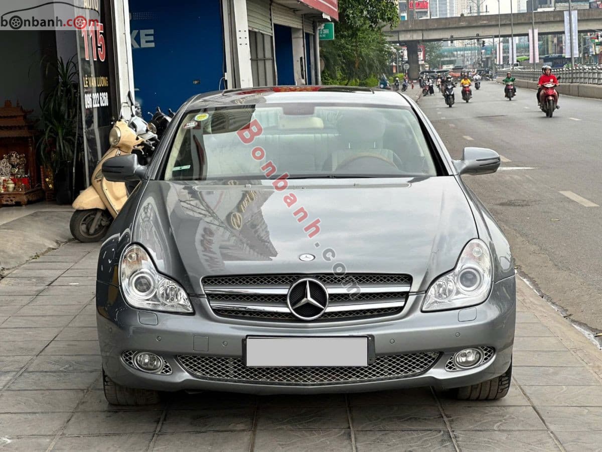 2010 Mercedes-Benz CLS class CLS 300