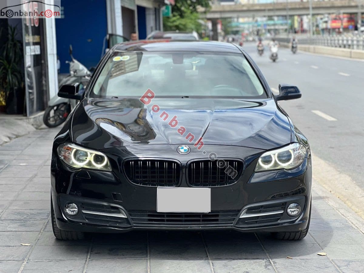 2015 BMW 5 Series 520i