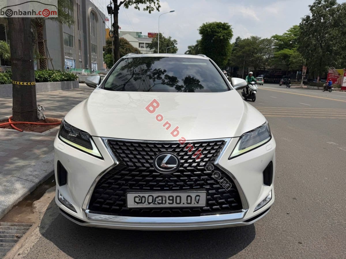 2020 Lexus RX 300
