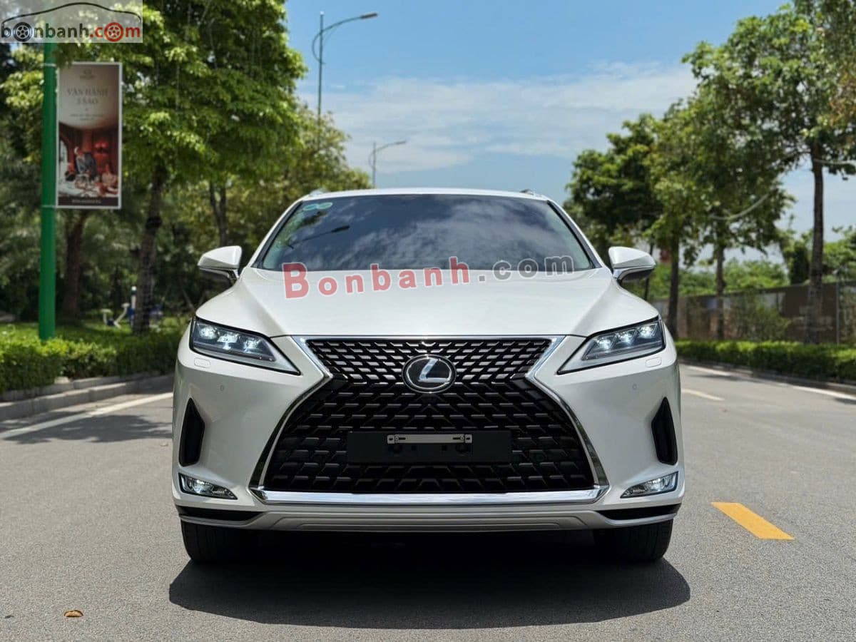 2020 Lexus RX 300