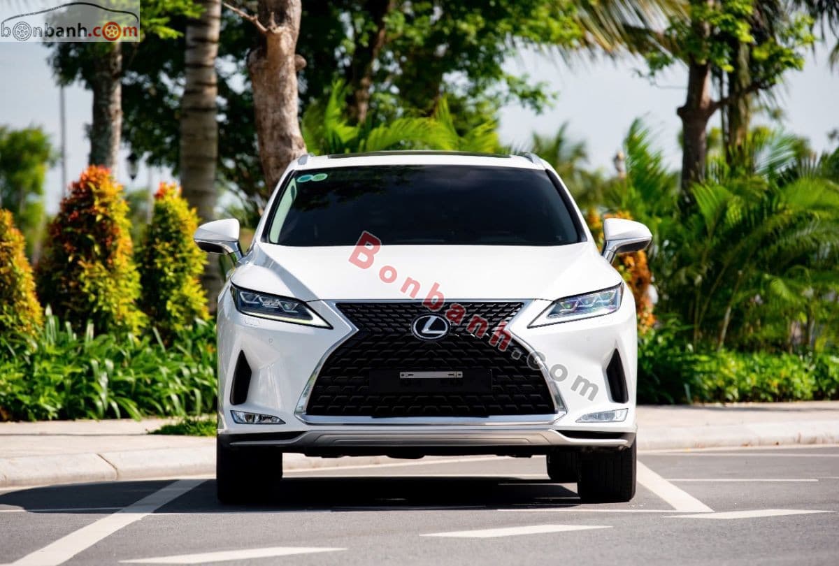 2020 Lexus RX 300