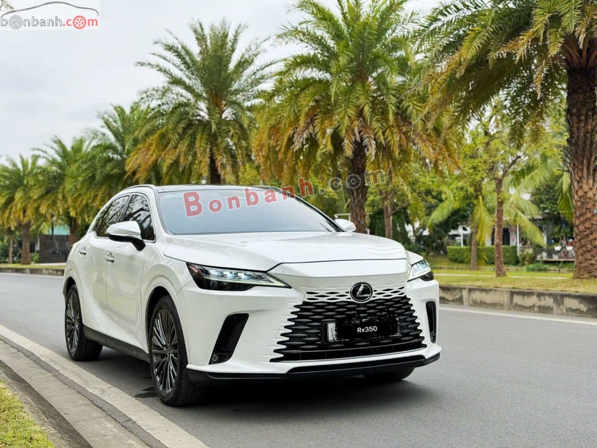 2022 Lexus RX 350 Luxury