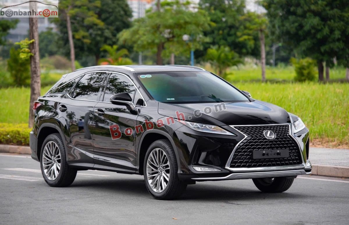 2019 Lexus RX 300