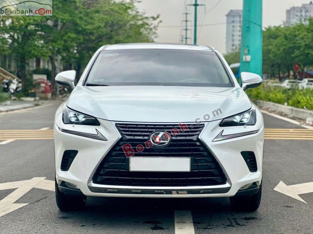 2018 Lexus NX 300