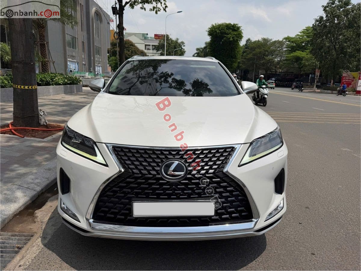 2020 Lexus RX 300