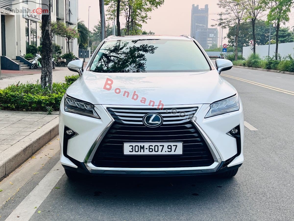 2019 Lexus RX 300