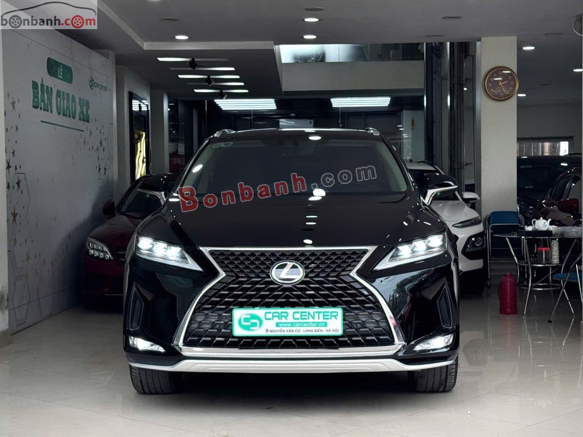 2019 Lexus RX 300