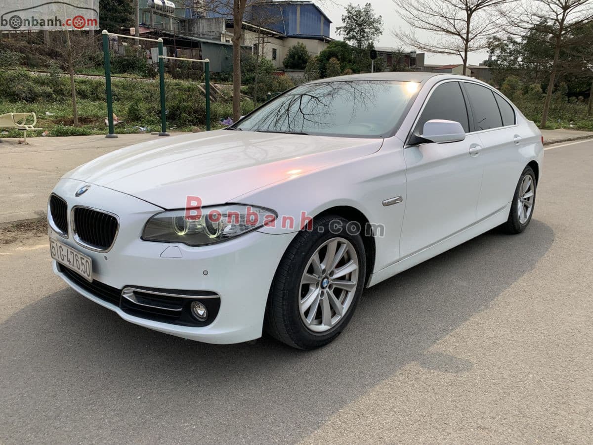 2011 BMW 5 Series 523i