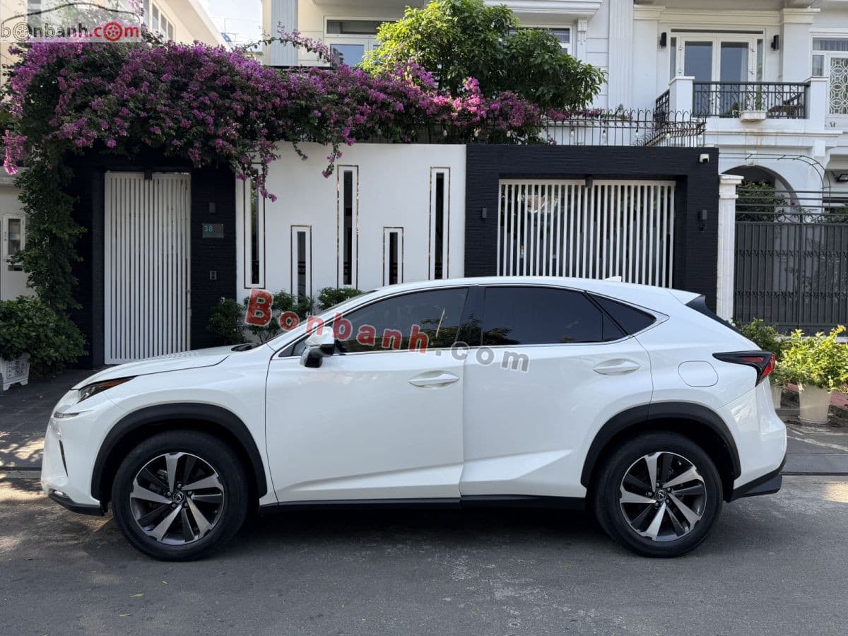 2017 Lexus NX 300