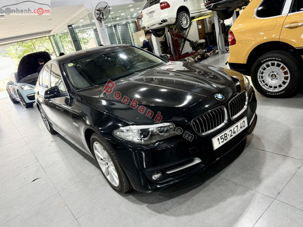 2016 BMW 5 Series 520i