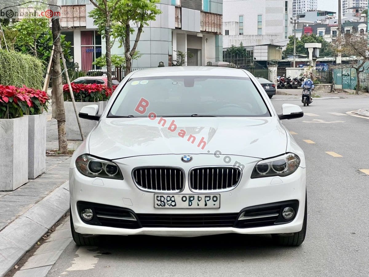 2015 BMW 5 Series 520i