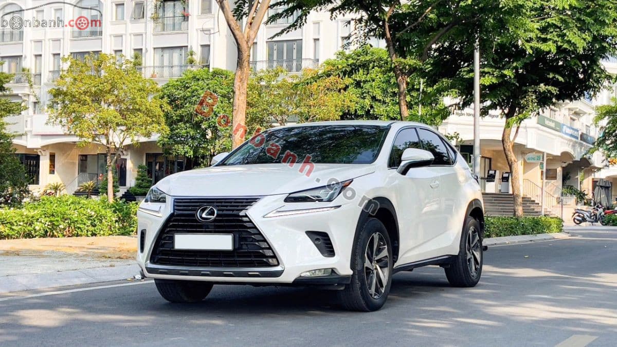 2019 Lexus NX 300