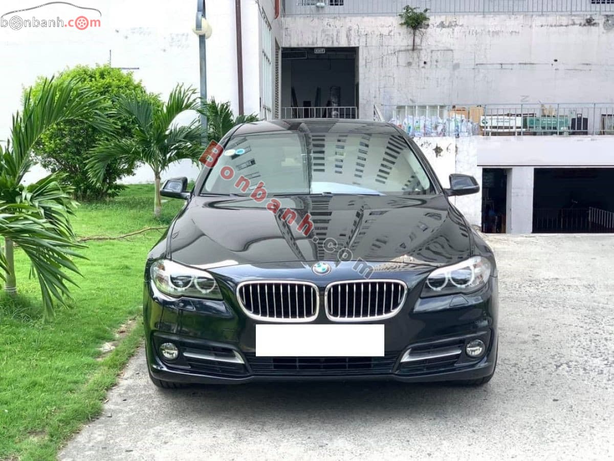 2015 BMW 5 Series 520i