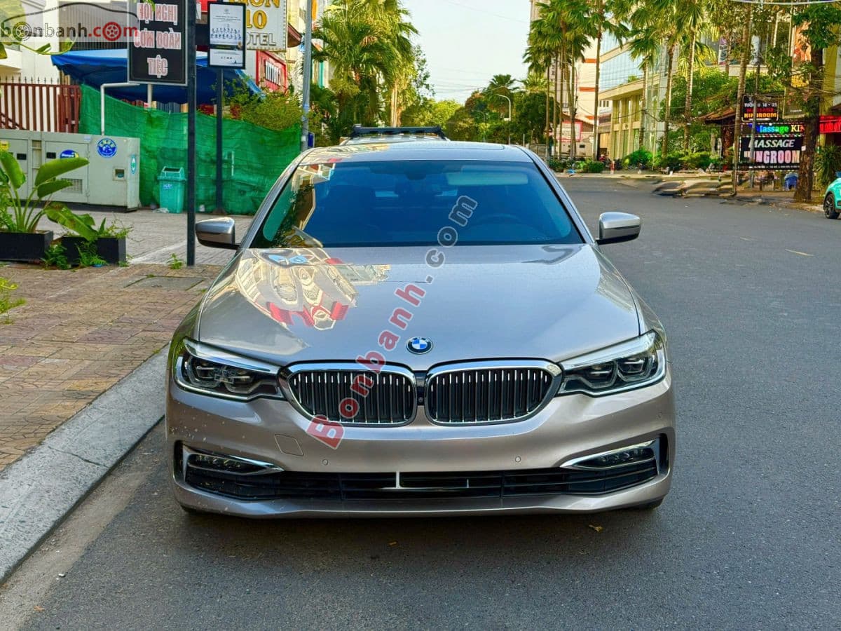 2019 BMW 5 Series 530i