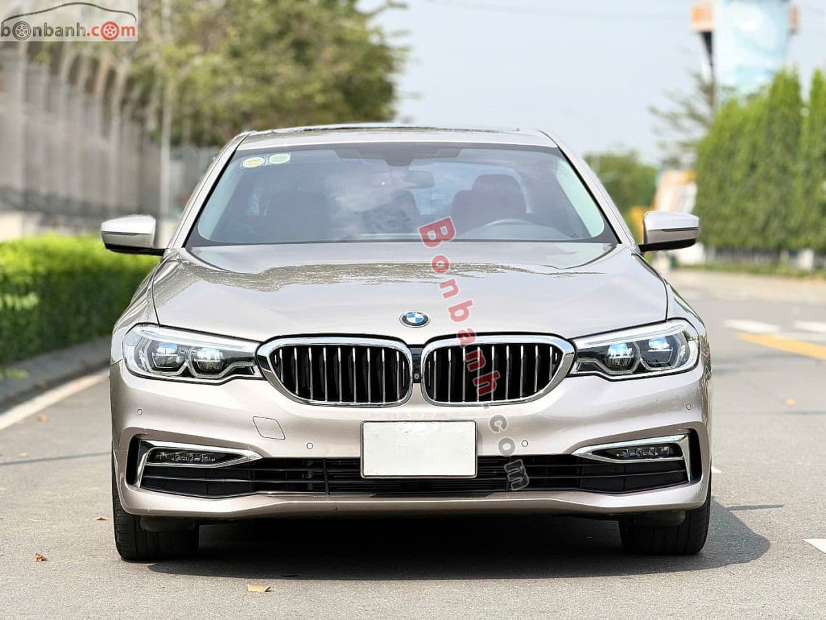 2019 BMW 5 Series 530i Luxury Line