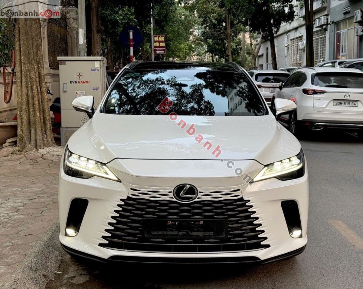 2023 Lexus RX 350 Luxury